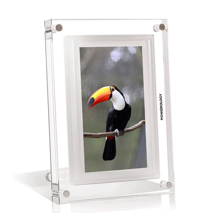 Powereology 10” WiFi Digital Photo Frame – White