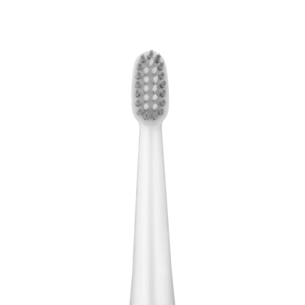 The Green Lion GB-37 Electric Toothbrush is a super-powerful and fantastic convenience for an outstanding degree of cleanliness in your mouth. The dev