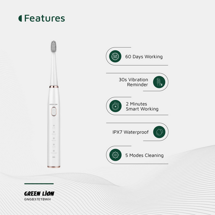 The Green Lion GB-37 Electric Toothbrush is a super-powerful and fantastic convenience for an outstanding degree of cleanliness in your mouth. The dev