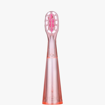 The Green Lion Electric Toothbrush, designed for Children's use, has been targeted at kids between the ages of two and ten in the hope of being more e
