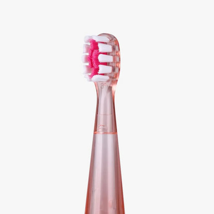 The Green Lion Electric Toothbrush, designed for Children's use, has been targeted at kids between the ages of two and ten in the hope of being more e
