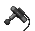 Green Lion Long Handle  Back Massage Gun