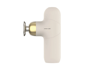 Green Lion Premium Massage Gun - The Green Lion Premium Massage Gun is the best option for relaxing after a long day