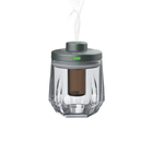 GREEN LION CRYSTAL FRAGRANCE DIFFUSER - GRAY