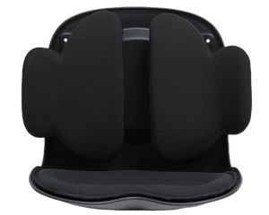Collection image for: Back Pain