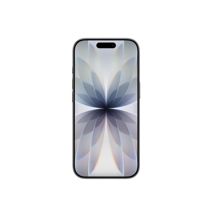 iPhone 17 Black back view - taxes and customs paid, installments available