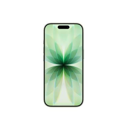 iPhone 17 Sage back view - taxes and customs paid, installments available