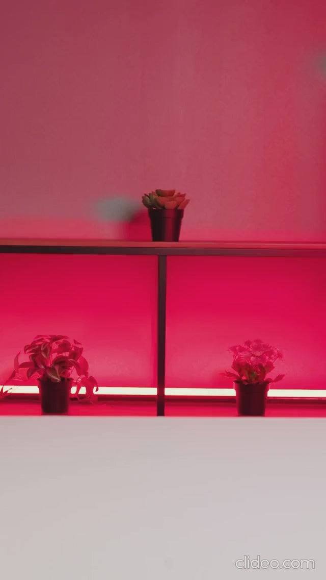 وسادة مقعد تقويم العظام من Green Lion